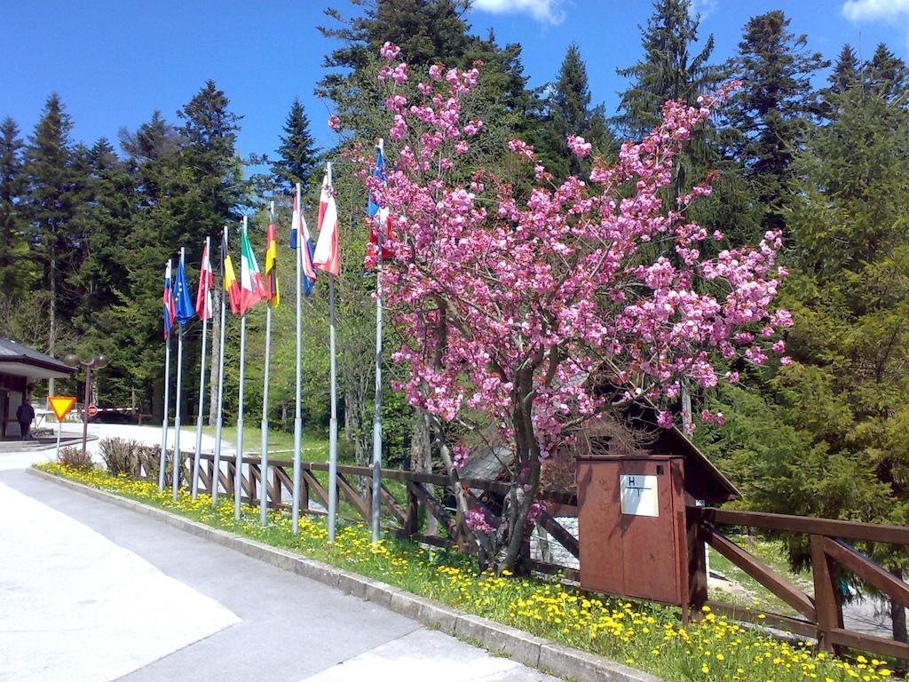 Hotel Camping Pivka Jama Postojna Exterior foto